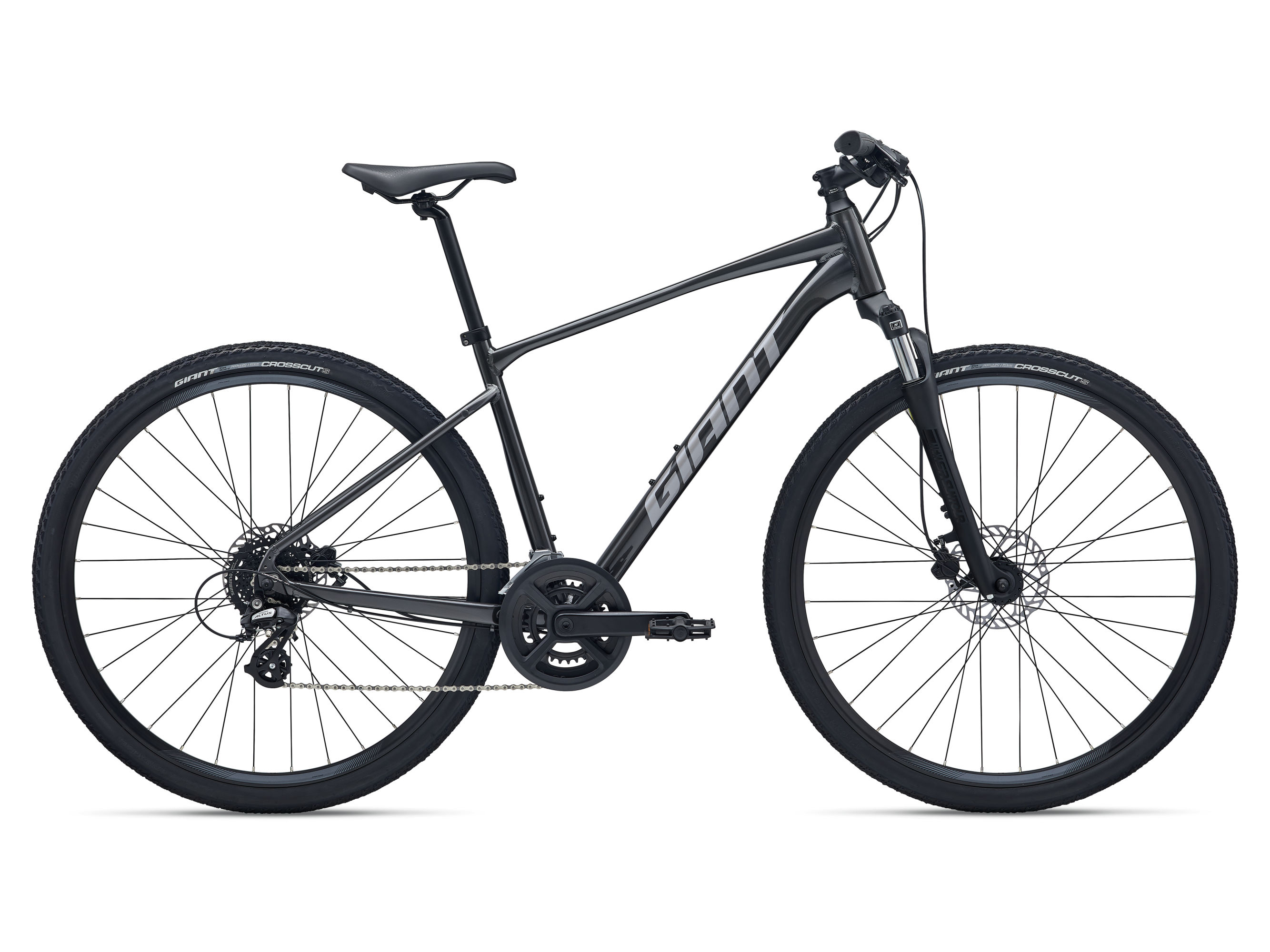 Giant Roam Disc 4